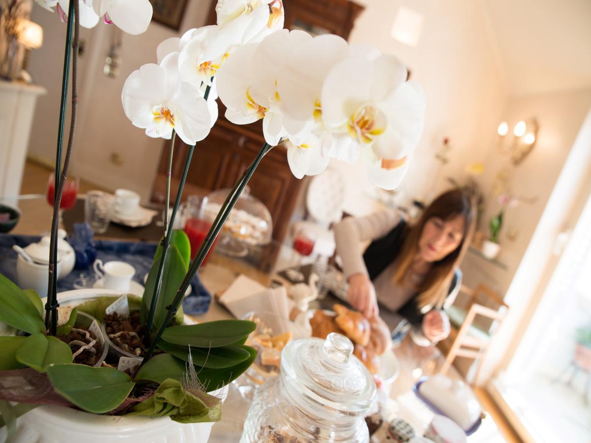 Bed and Breakfast Casa Malena Ascoli Piceno Exteriér fotografie